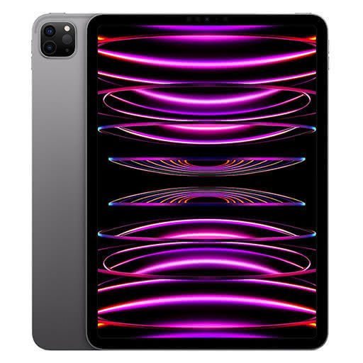 iPad Pro 11 (2022) 256 Go Wi-Fi Cellulaire | Déverrouillé
