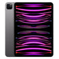 iPad Pro 11 (2022) 256 Go Wi-Fi Cellulaire | Déverrouillé