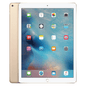 iPad Pro 12.9 (2015) 128 Go Wi-Fi + Cellulaire | Déverrouillé