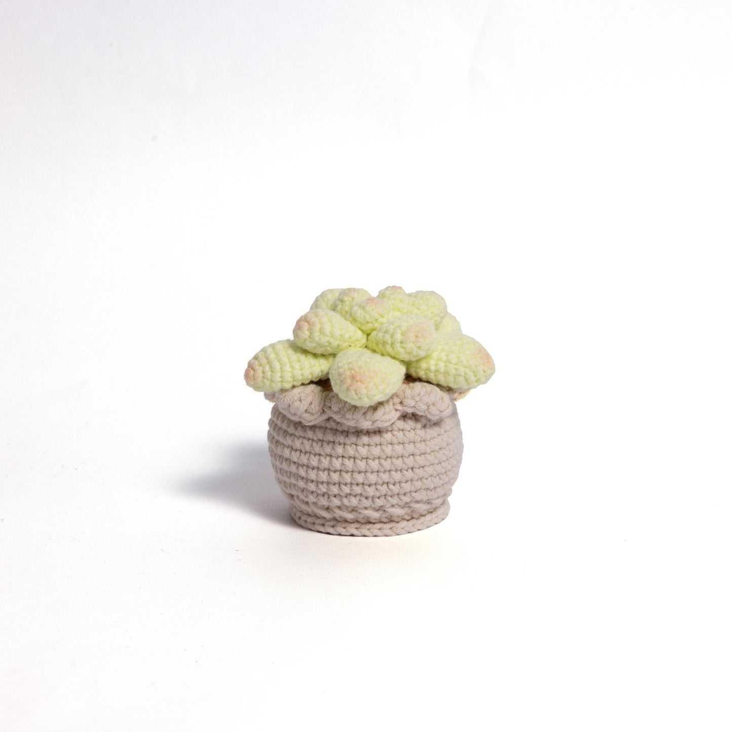 Soft Crochet Succulent Plants