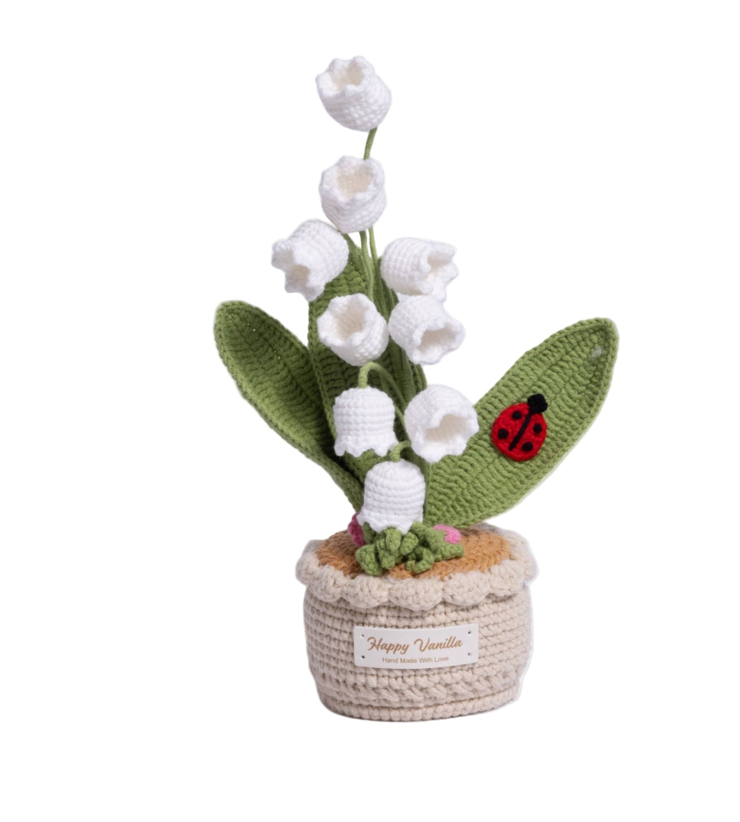 XXL Pot Plants : Larger the size, Bigger the smile