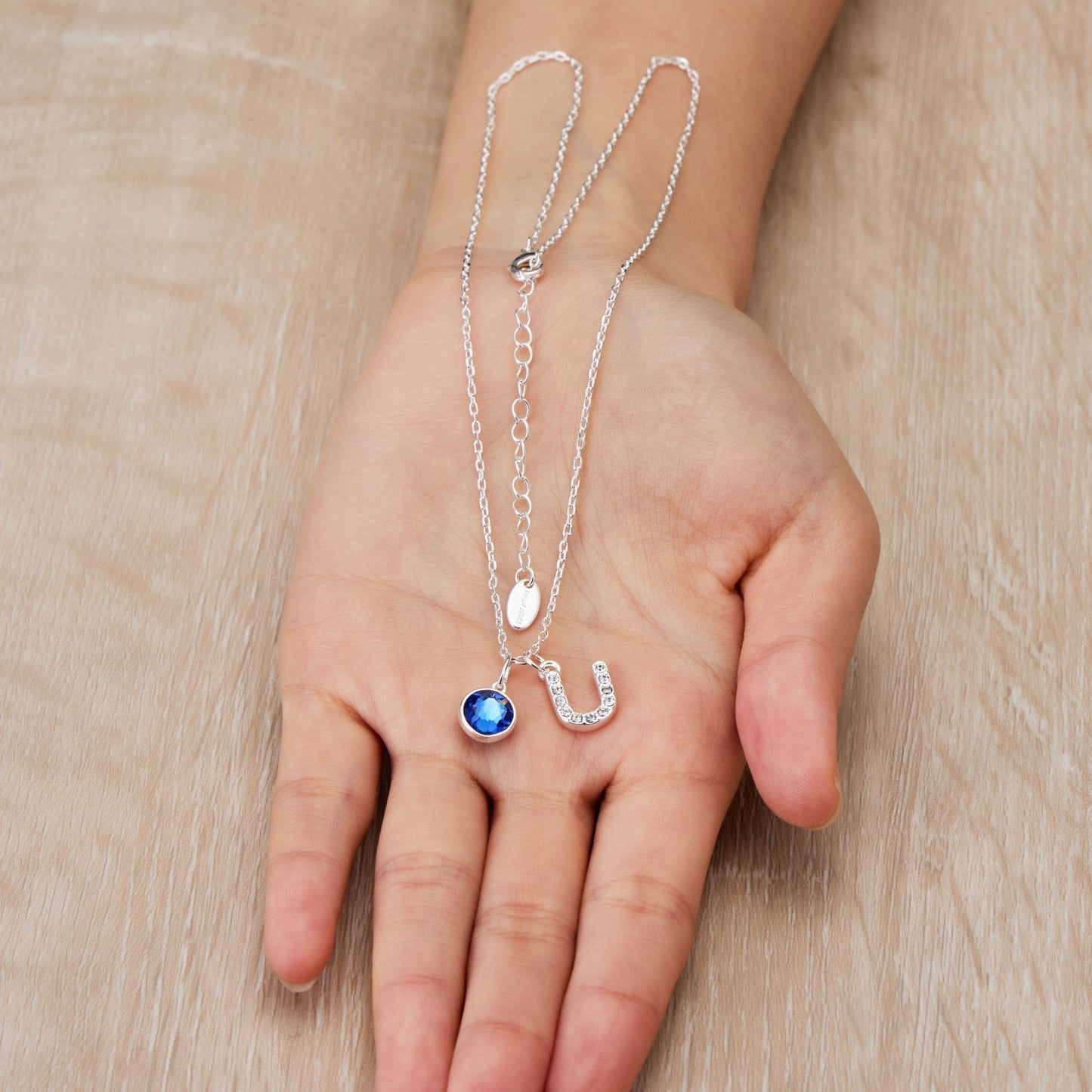 Pave Initial U Necklace with Birthstone Charm Created with Zircondia® Crystals