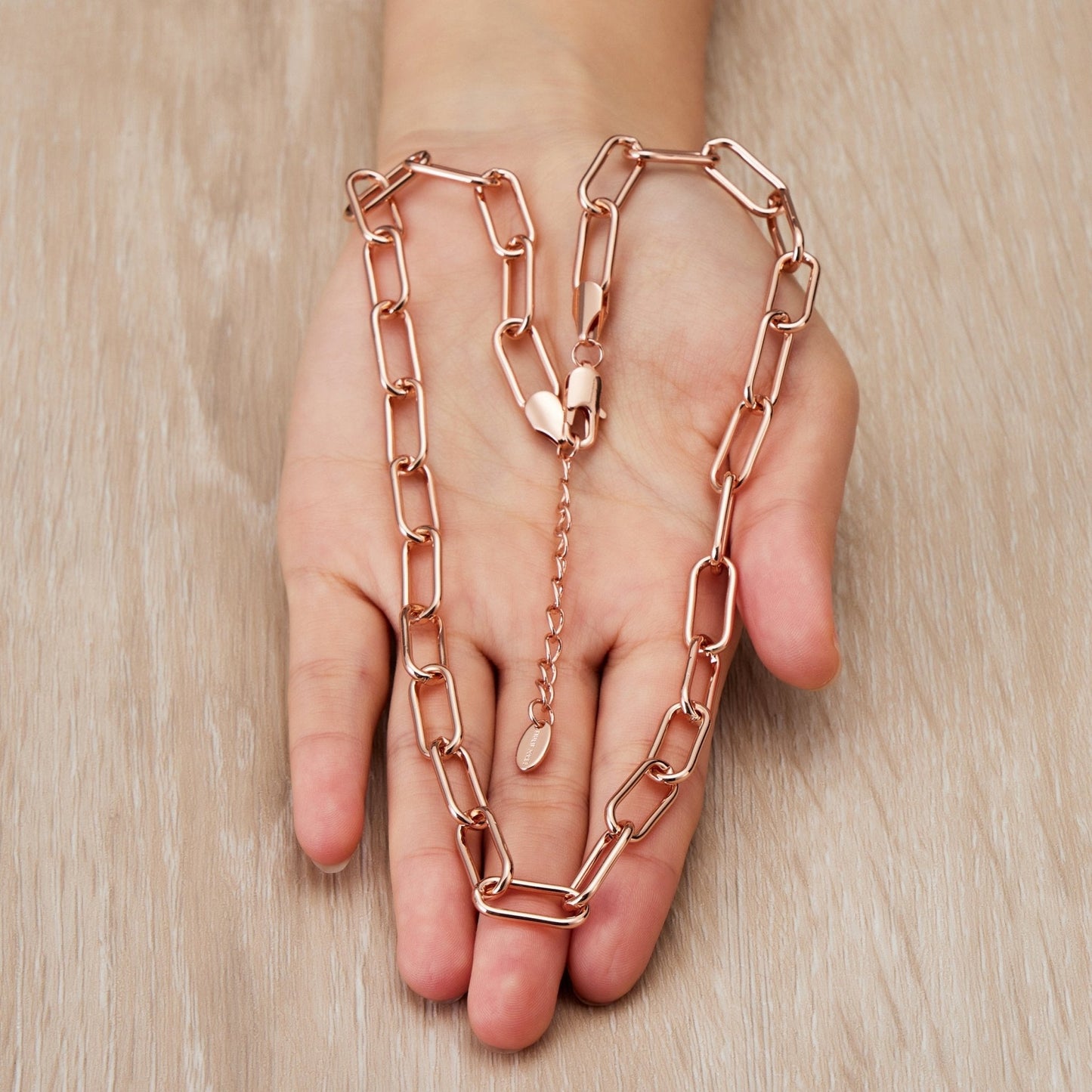 Rose Gold Plated Paperclip Necklace