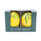 Salt and Pepper Pots in Gift Box Mediterranean Lemon