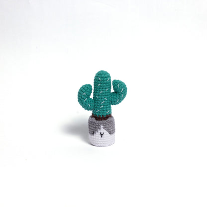 Irresistibly Cute Crochet Cactus Family – Lovable Succulent Amigurumi Plush Collection