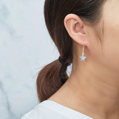 Sterling Silver Aurora Borealis Star Set Created with Zircondia® Crystals