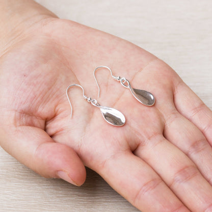 Sterling Silver Infinity Curve Earrings