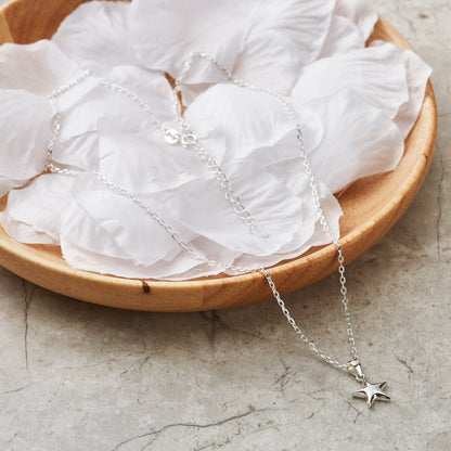 Sterling Silver Star Pendant Necklace