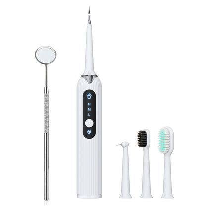 Electric Toothbrush & Calculus Remover